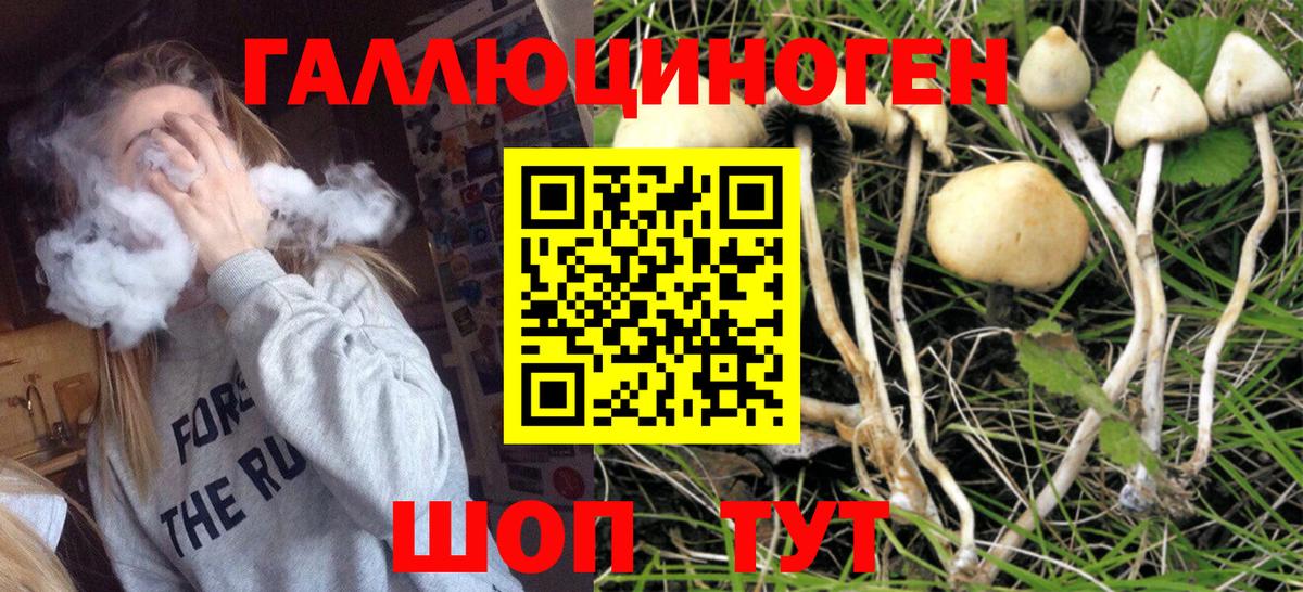 Галлюциногенные грибы мухоморы  Вход с VPN  Владимир 