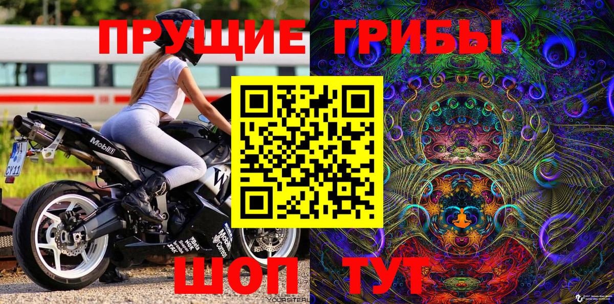 Галлюциногенные грибы Psilocybe Владимир